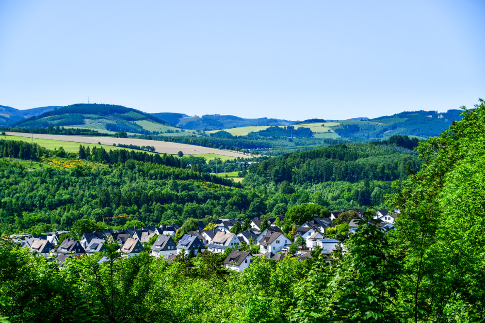 Blick vom Hang
Schlüsselwörter: 2026