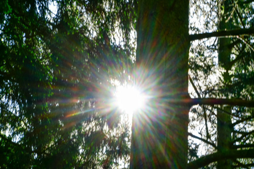 Sonnenstern
Schlüsselwörter: 2026