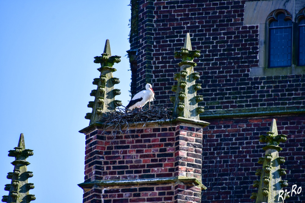 Gute Aussicht
Viel Geschicklichkeit u. Fleiß gehören dazu, solch ein großes, stabiles Nest mit dem Schnabel zu bauen. (schoepfung)


Schlüsselwörter: 2025