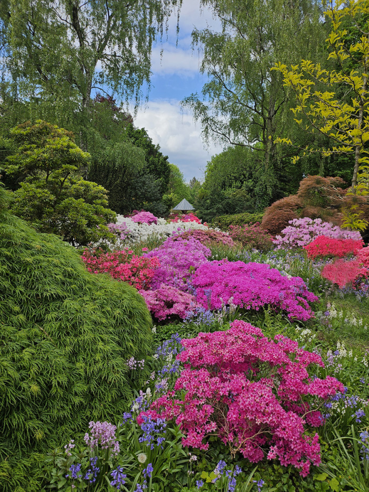 Landschaften  „Blumenlandschaft“
Ralf
Schlüsselwörter: 2025