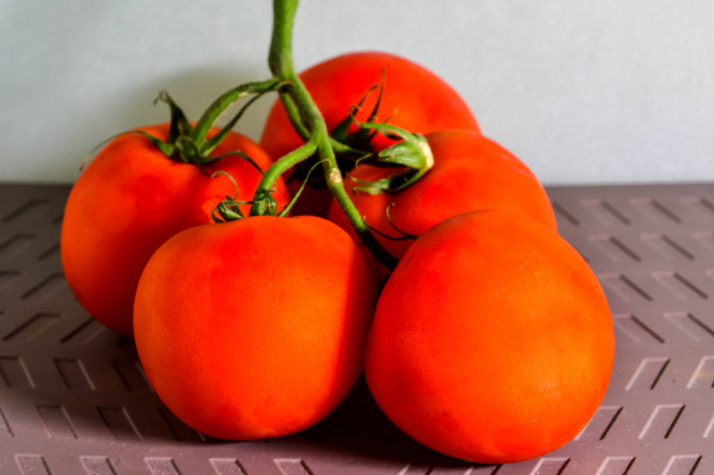 Obst und Gemüse  „Tomaten“
Roland
Schlüsselwörter: 2026