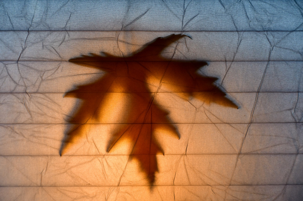 Schatten  „Angestrahltes Blatt“
Roland
Schlüsselwörter: 2026