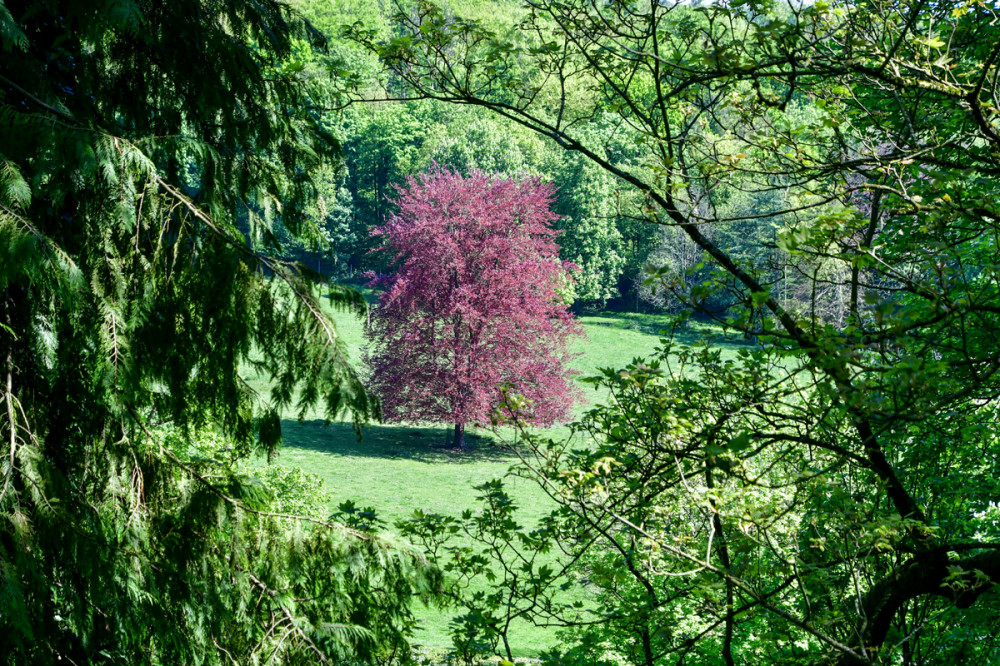Landschaften  „Rahmen“
Roland
Schlüsselwörter: 2025