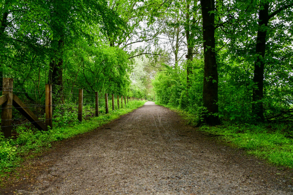 Landschaften  „Wandern per pedes“
Roland
Schlüsselwörter: 2025