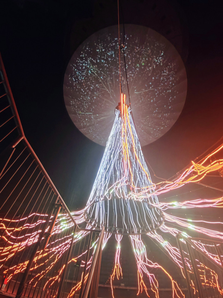 Schatten  „Der Baum“
Manni
Schlüsselwörter: 2026