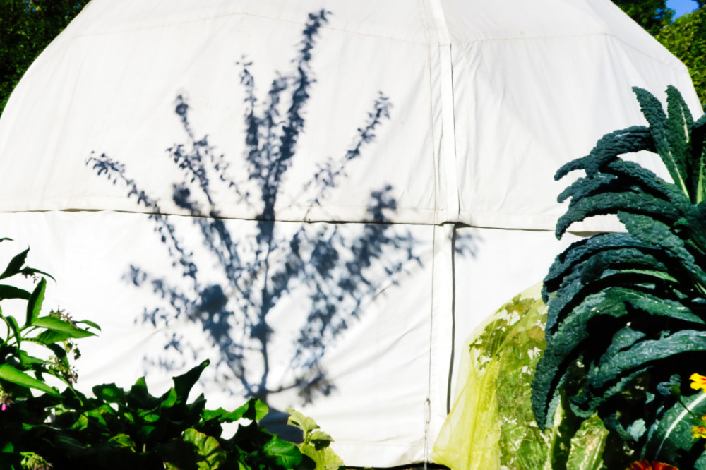 Schatten  „Baum“
Verena
Schlüsselwörter: 2026