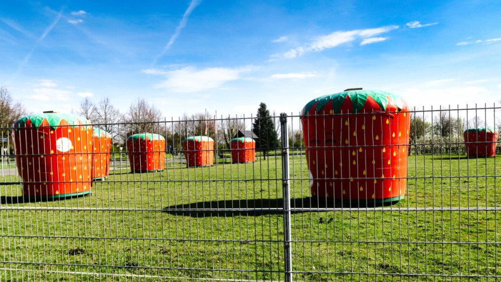 Frei  „Erdbeerpavilions warten auf den Einsatz“
Verena
Schlüsselwörter: 2026