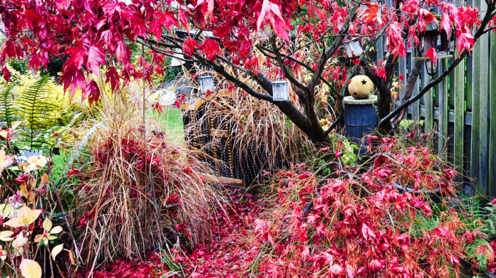 Frei  „Herbstliche Impressionen“
Verena
Schlüsselwörter: 2025