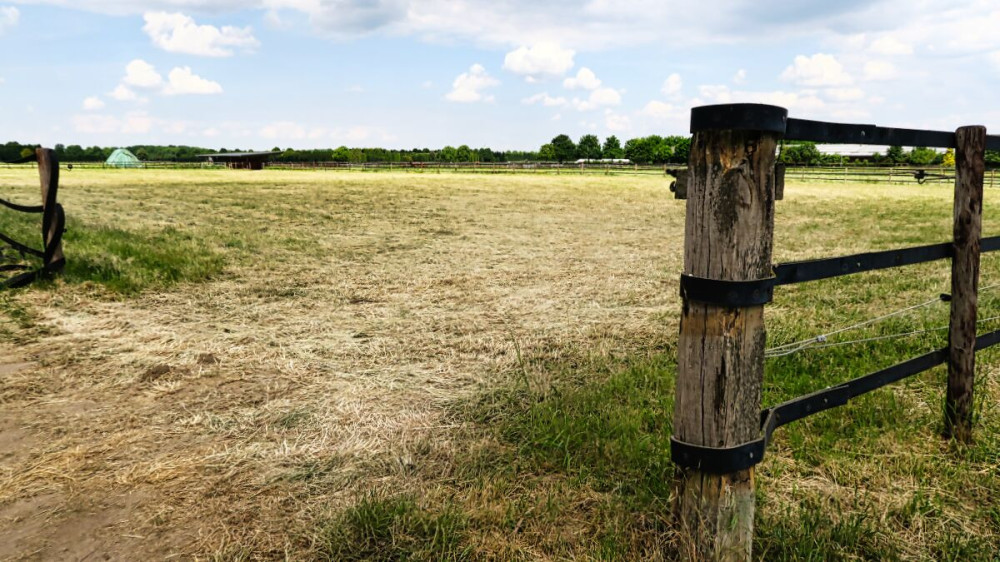 Landschaften  „Koppel “
Verena
Schlüsselwörter: 2025