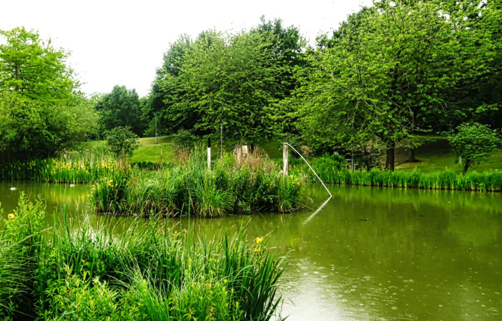 Landschaften  „Stadtsee“
Verena
Schlüsselwörter: 2025