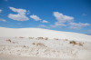 19_05_LANDSCHAFT.jpg