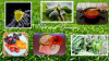 Dateiname=Deckblatt_Juli_26.jpg
Dateigröße=283KB
Abmessungen: 1280x720
hinzugefügt am: 31. Juli 2026 Deckblatt_Juli_26.jpg
