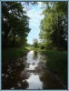 Der__Noch-Bachlauf__am_Waldrand-R-k-.jpg