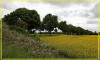 Dateiname=Elise02687B861E-3AD4-4303-A7F4-98FCE65E309D.jpeg
Dateigröße=515KB
Abmessungen: 1280x771
hinzugefügt am: 06. Mai 2025 Elise02687B861E-3AD4-4303-A7F4-98FCE65E309D.jpeg