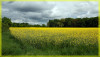 Dateiname=Elise_016C4B1EA5-CCAD-4AE8-8E72-6DCCBE21EC86.jpeg
Dateigröße=481KB
Abmessungen: 1280x731
hinzugefügt am: 06. Mai 2025 Elise_016C4B1EA5-CCAD-4AE8-8E72-6DCCBE21EC86.jpeg