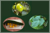 Elise_ERNTE_AUS_UNSEREM_GARTEN.jpg