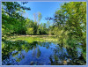 Elise_Wilde_Natur_am_Schlossteich_Giesenkirchen.jpg