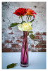 Dateiname=Frei_Marianne_Drei_Rosen_04.jpg
Dateigröße=1063KB
Abmessungen: 821x1200
hinzugefügt am: 20. September 2026 Frei_Marianne_Drei_Rosen_04.jpg