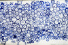 Dateiname=Frei_Verena_Leber_Grafitti.jpg
Dateigröße=1503KB
Abmessungen: 1200x800
hinzugefügt am: 18. September 2026 Frei_Verena_Leber_Grafitti.jpg