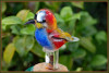 Dateiname=Freisteller_Elise_Kleiner_Eisvogel.jpeg
Dateigröße=282KB
Abmessungen: 1280x870
hinzugefügt am: 09. Juli 2025 Freisteller_Elise_Kleiner_Eisvogel.jpeg