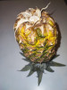 Dateiname=Manni_Obst_und_Gemuese__Sportliche_Ananas_im_Kopfstand.jpg
Dateigröße=610KB
Abmessungen: 900x1200
hinzugefügt am: 13. Juli 2026 Manni_Obst_und_Gemuese__Sportliche_Ananas_im_Kopfstand.jpg