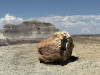 Dateiname=Marianne_Freisteller_HP_Projekt_07_07_Petrified_Forest_01.jpg
Dateigröße=358KB
Abmessungen: 1200x900
hinzugefügt am: 13. Juli 2025 Marianne_Freisteller_HP_Projekt_07_07_Petrified_Forest_01.jpg