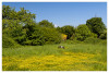 Dateiname=Marianne_Landschaft_Pony_auf_der_Weide.jpg
Dateigröße=1498KB
Abmessungen: 1200x815
hinzugefügt am: 07. Mai 2025 Marianne_Landschaft_Pony_auf_der_Weide.jpg