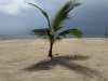 Dateiname=Marianne_Schatten_Der_einzige_Schatten_weit_und_breit.jpg
Dateigröße=822KB
Abmessungen: 1200x900
hinzugefügt am: 11. Oktober 2026 Marianne_Schatten_Der_einzige_Schatten_weit_und_breit.jpg