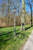 Perla_Alles_im_Park_Schattenwurf.jpg