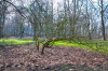 Dateiname=Perla_Alles_im_Park_Verschnoerkelt.jpg
Dateigröße=1589KB
Abmessungen: 1200x795
hinzugefügt am: 05. März 2025 Perla_Alles_im_Park_Verschnoerkelt.jpg