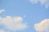 Dateiname=Perla_Am_Himmel_Sommertag.jpg
Dateigröße=236KB
Abmessungen: 1200x795
hinzugefügt am: 21. August 2025 Perla_Am_Himmel_Sommertag.jpg