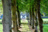 Dateiname=Perla_Frei_Allee.jpg
Dateigröße=1430KB
Abmessungen: 1200x800
hinzugefügt am: 28. September 2026 Perla_Frei_Allee.jpg