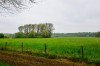 Dateiname=Perla_Landschaften_Ueberflutungsgebiet.jpg
Dateigröße=839KB
Abmessungen: 1200x795
hinzugefügt am: 08. Mai 2025 Perla_Landschaften_Ueberflutungsgebiet.jpg