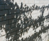 Perla_Schatten_Hauswand.jpg