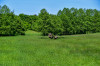 Dateiname=Perla__Landschaften_Gruenlandstruktur.jpg
Dateigröße=1324KB
Abmessungen: 1200x800
hinzugefügt am: 27. Mai 2025 Perla__Landschaften_Gruenlandstruktur.jpg