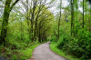 Dateiname=Perla__Landschaften_Waldweg.jpg
Dateigröße=1611KB
Abmessungen: 1200x795
hinzugefügt am: 11. Mai 2025 Perla__Landschaften_Waldweg.jpg