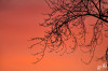 Dateiname=RR_Himmel_Orange.jpg
Dateigröße=816KB
Abmessungen: 1200x800
hinzugefügt am: 01. März 2025 RR_Himmel_Orange.jpg