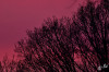 Dateiname=RR_Himmel_Violett.jpg
Dateigröße=1028KB
Abmessungen: 1200x800
hinzugefügt am: 03. März 2025 RR_Himmel_Violett.jpg