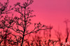 Dateiname=RR_Himmel_mit_Baum.jpg
Dateigröße=924KB
Abmessungen: 1200x800
hinzugefügt am: 01. März 2025 RR_Himmel_mit_Baum.jpg
