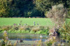 Dateiname=RR_Natur_Auenlandschaft.jpg
Dateigröße=1153KB
Abmessungen: 1200x800
hinzugefügt am: 21. Oktober 2025 RR_Natur_Auenlandschaft.jpg