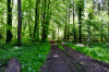 Dateiname=RR_Natur_Forstweg.jpg
Dateigröße=1643KB
Abmessungen: 1200x800
hinzugefügt am: 21. Mai 2025 RR_Natur_Forstweg.jpg
