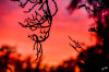 Dateiname=RR_Natur_Himmel~0.jpg
Dateigröße=711KB
Abmessungen: 1200x800
hinzugefügt am: 28. Oktober 2026 RR_Natur_Himmel~0.jpg
