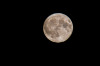 Dateiname=RR_Natur_Mond.jpg
Dateigröße=165KB
Abmessungen: 1200x800
hinzugefügt am: 12. Juni 2025 RR_Natur_Mond.jpg