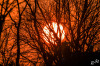 Dateiname=RR_Natur_Sonnenuntergang.jpg
Dateigröße=1431KB
Abmessungen: 1200x800
hinzugefügt am: 13. März 2025 RR_Natur_Sonnenuntergang.jpg