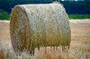 Dateiname=RR_Natur_Strohrad.jpg
Dateigröße=1153KB
Abmessungen: 1200x800
hinzugefügt am: 15. Juli 2025 RR_Natur_Strohrad.jpg