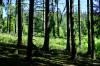 Dateiname=RR_Sauerland_Lichtdurchflutet.jpg
Dateigröße=1378KB
Abmessungen: 1200x800
hinzugefügt am: 26. Mai 2026 RR_Sauerland_Lichtdurchflutet.jpg