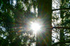 Dateiname=RR_Sonnenstern.jpg
Dateigröße=855KB
Abmessungen: 1200x800
hinzugefügt am: 25. Mai 2026 RR_Sonnenstern.jpg