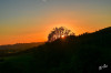 RR_Sonnenuntergang_Sauerland.jpg