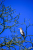 Dateiname=RR_Tiere_Kormoran.jpg
Dateigröße=893KB
Abmessungen: 800x1200
hinzugefügt am: 22. März 2025 RR_Tiere_Kormoran.jpg