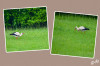 Dateiname=RR_Tiere_Stoerche_Wiese.jpg
Dateigröße=883KB
Abmessungen: 1200x800
hinzugefügt am: 03. Mai 2025 RR_Tiere_Stoerche_Wiese.jpg